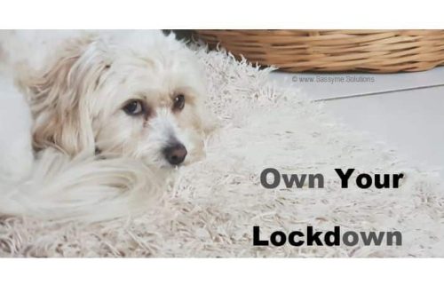 lockdown tips