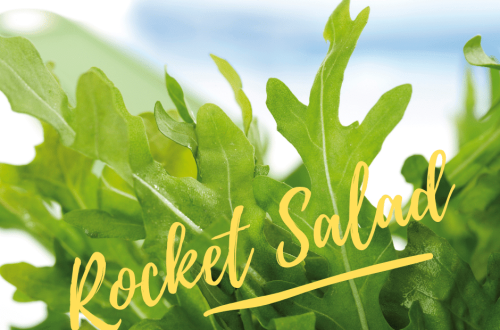 Rocket Salad Recipe