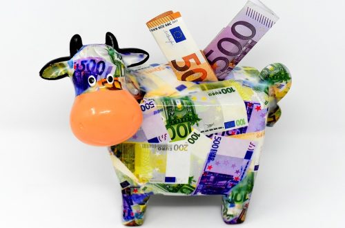 EURO Save Money Budget Plan Discount
