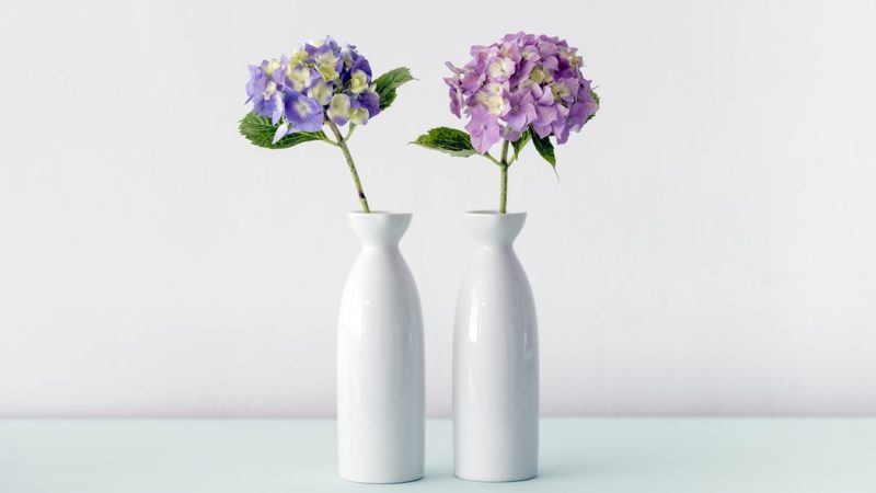 Hydrangea vases 1
