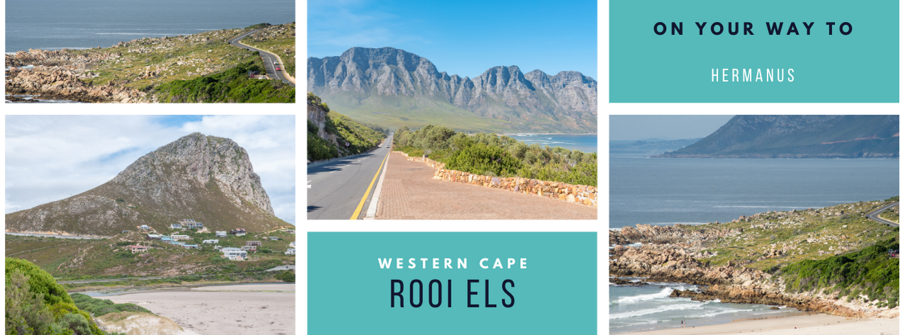 Rooi Els South Africa
