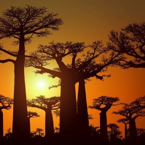 Sunset madagascar