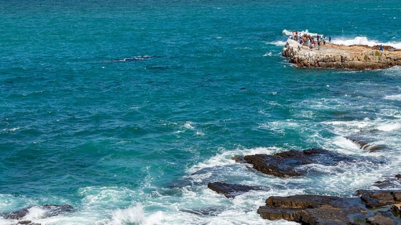 hermanus south africa waves wave ocean sea seas whale watching