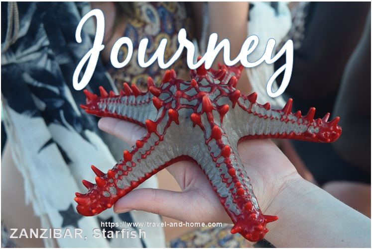 Journey Zanzibar Starfish Travel friends