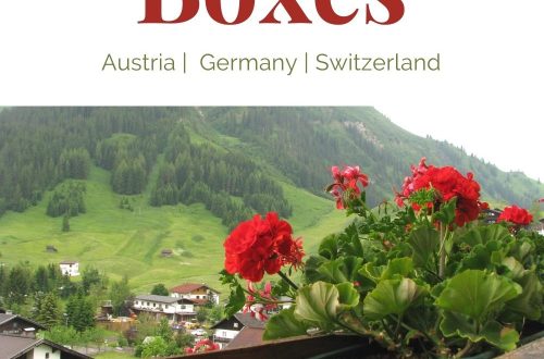 Where to go and What to see Flowers in Austria Flower Parades Make your own flowerboxes Secrets