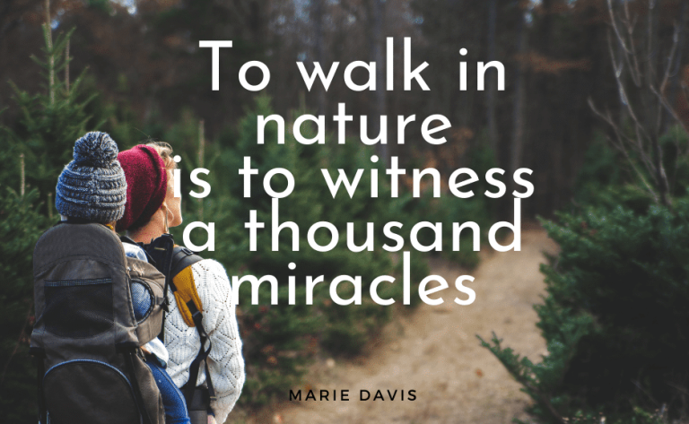 Hiking quote walk in nature
