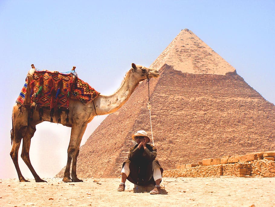 egypt el cairo gyhza pyramids sahara cairo pyramid camel deret TravelBuddies TravelAndHome