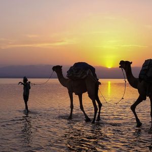 ethiopia lake karum danakil lac karum caravane Africa TravelAndHome
