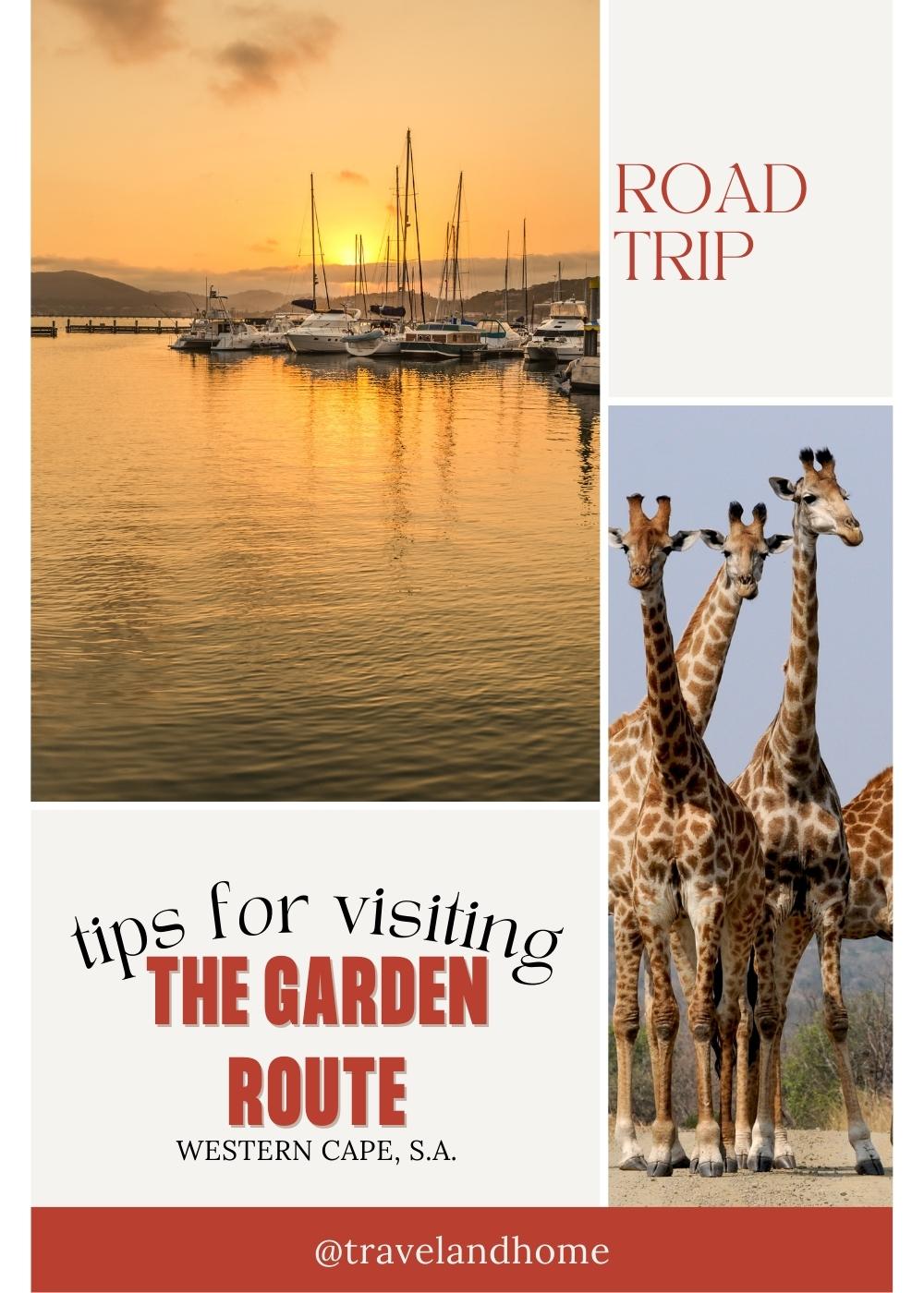 roadtrip itinerary where to go in the garden route south africa travel and home