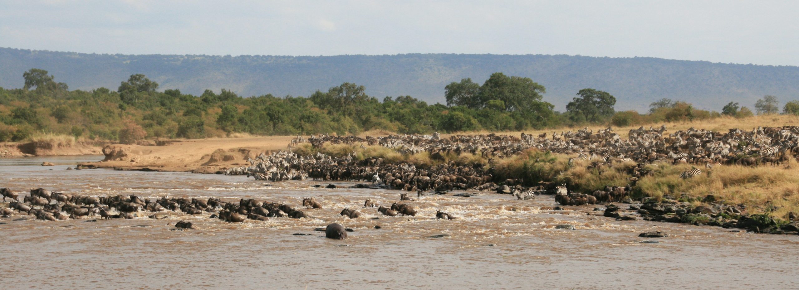 Tanzania Travel Serengeti travelandhome migration
