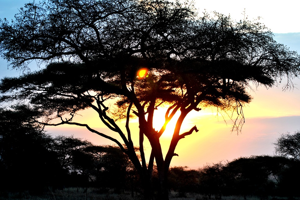 Tanzania Travel Serengeti travelandhome sunset nature