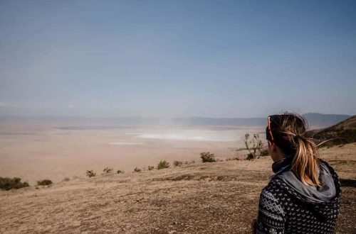 tanzania ngorongoro conservation area ngorongoro crater africa travelandhome