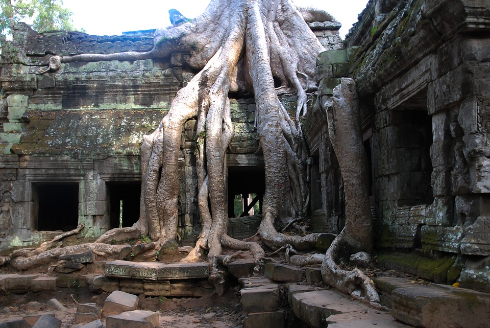 Accommodation near Angkor Wat