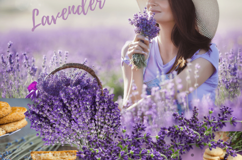 Bake with lavender edible flowers - Lavender butter cookies, biscuits