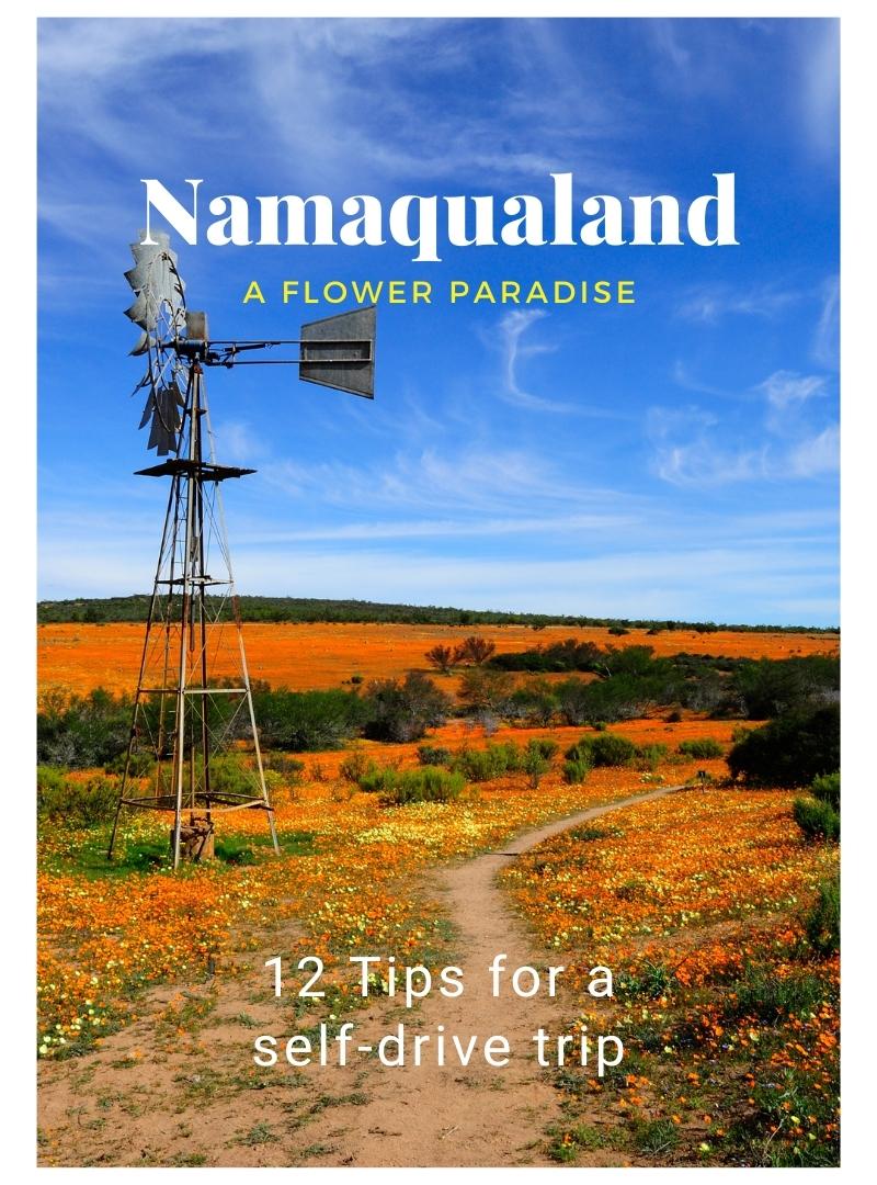 Tips to see the flowers in Namaqualand Beste raad vir die blomme in Namakwaland
