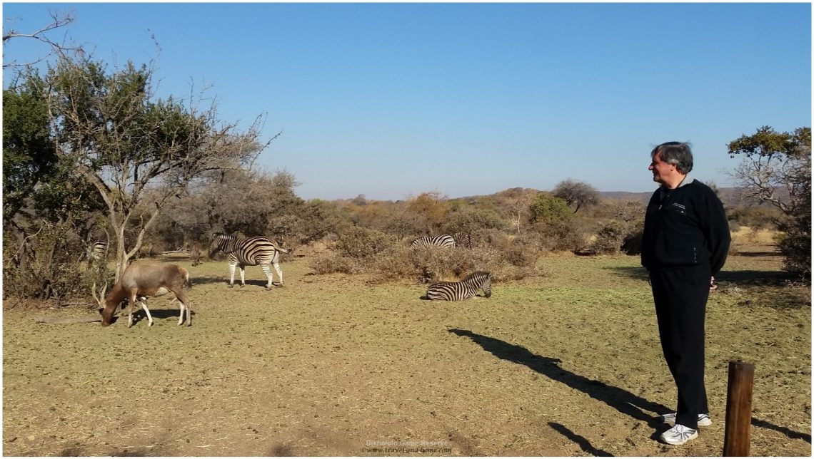 Dikhololo Game Reserve Northwest Province South Africa