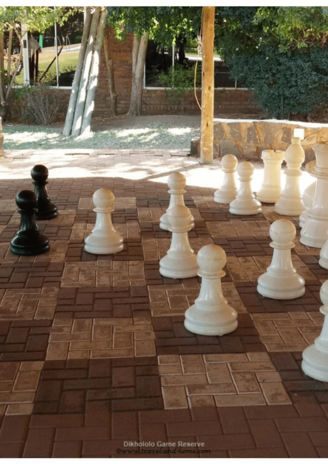 Dikhololo Game Reserve things to do