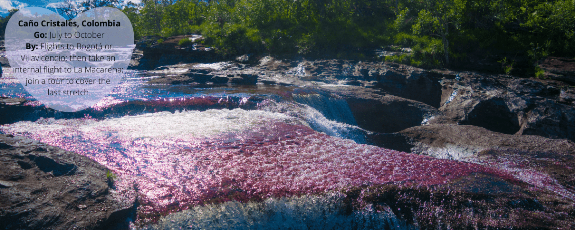 Cano Cristales – The River Of Colors turns red in the summer. The Columbian river bed is covered by a unique species of plant and that is what turns red.