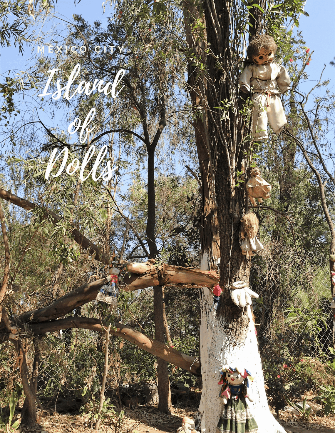 Island Of Dolls Isla de las Munecas – Spooky Forest uninhabited Mexican island of Xochimilco Mexico City min