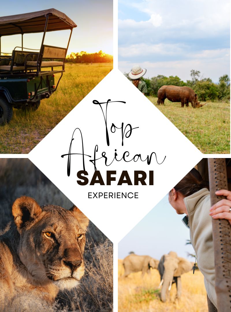 Top Safari adventures in Africa Top places to visit top tours the best tours in Africa the best safari in Africa