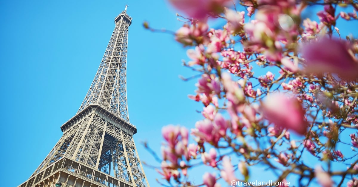 Eiffel tower in Paris with blooming Magnolia trees travel and home min