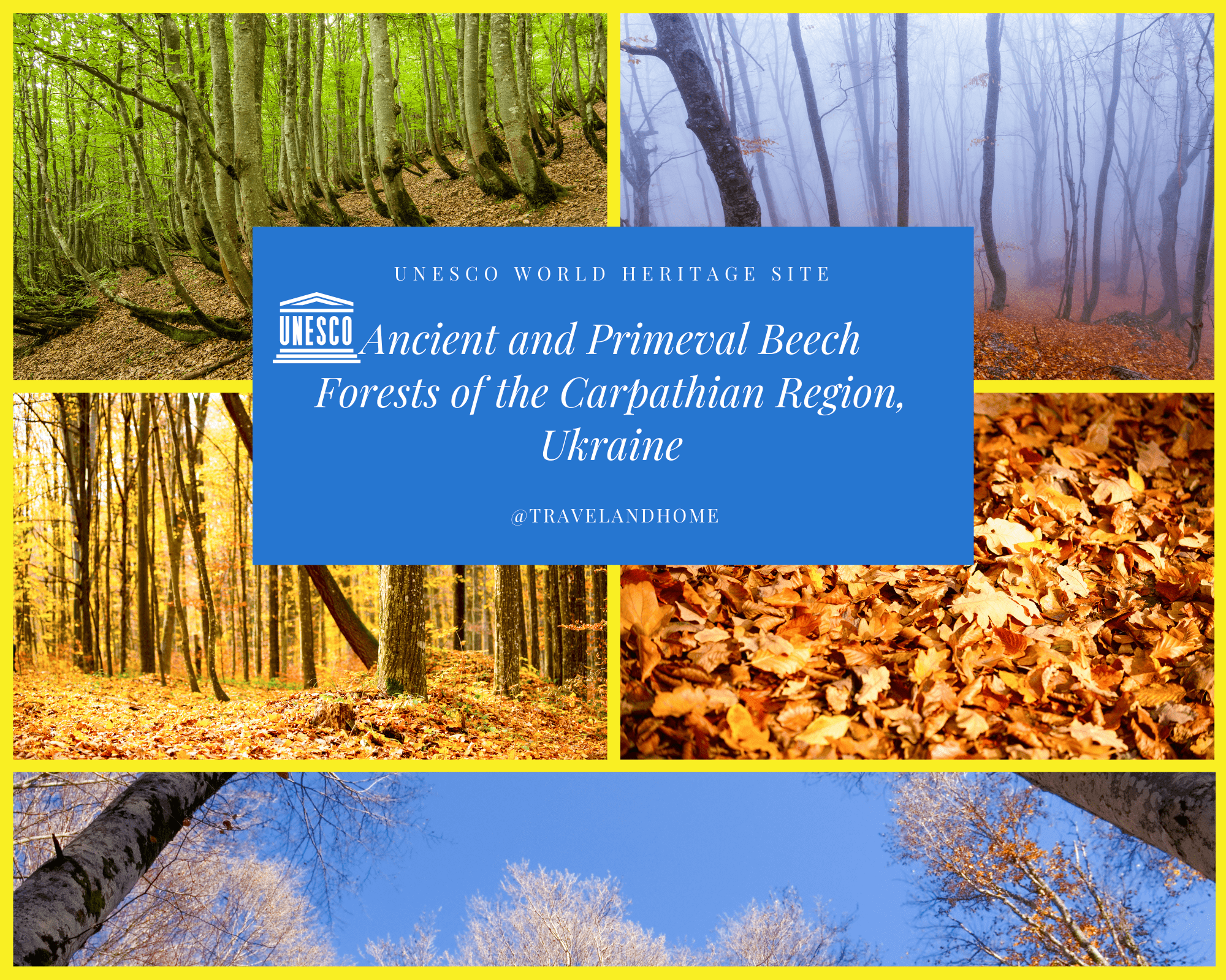 Ancient and Primeval Beech Forests of the Carpathian region Ukraine UNESCO World Heritage Site min
