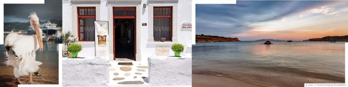Mykonos best sightseeing and top attractions Petros the Pelican Folklore museum Archaeological museum