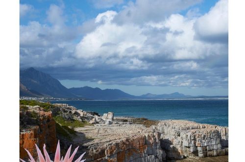 Visit Hermanus Where to stay and Things to do in Hermanus Western Cape South Africa