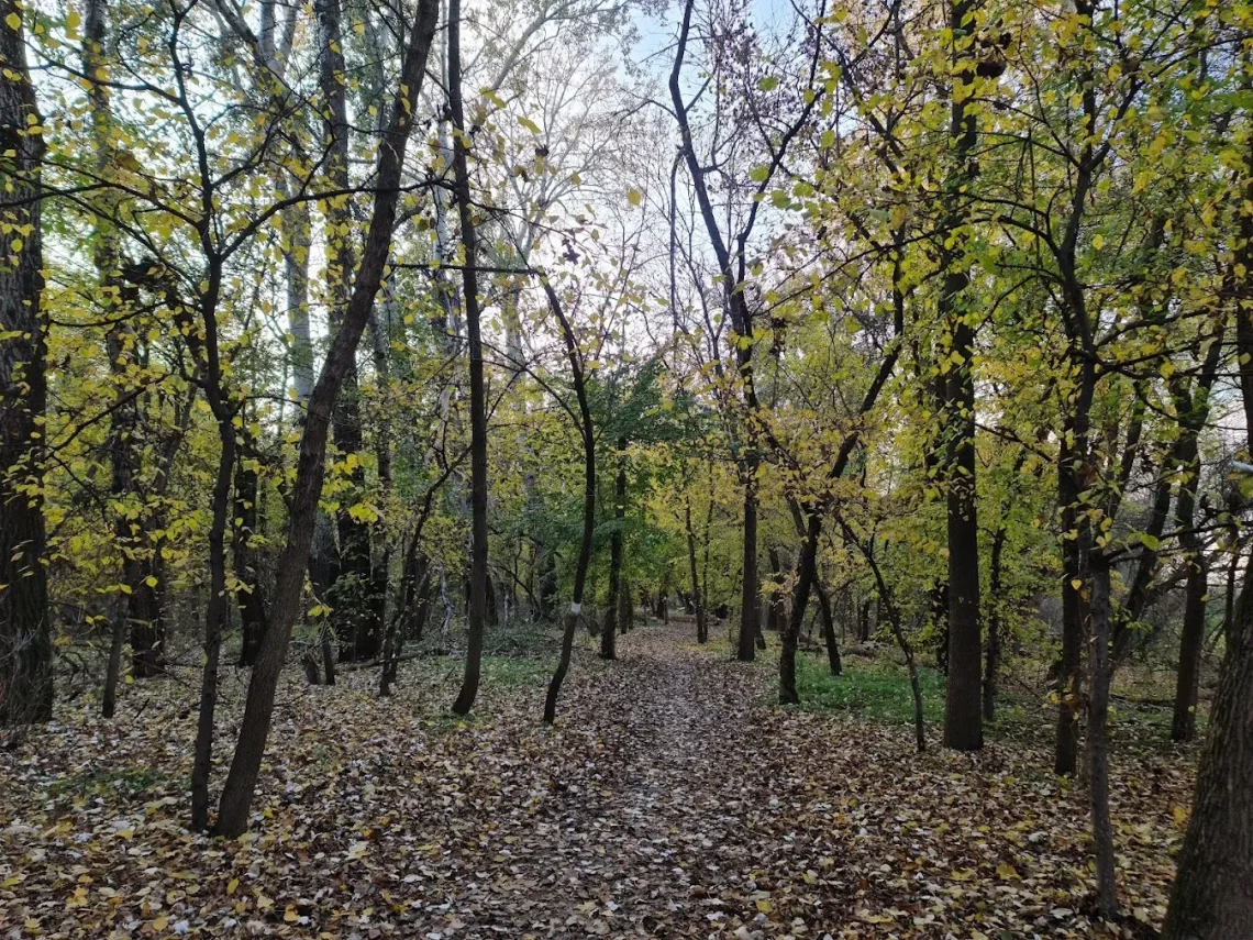 Hungary Nature