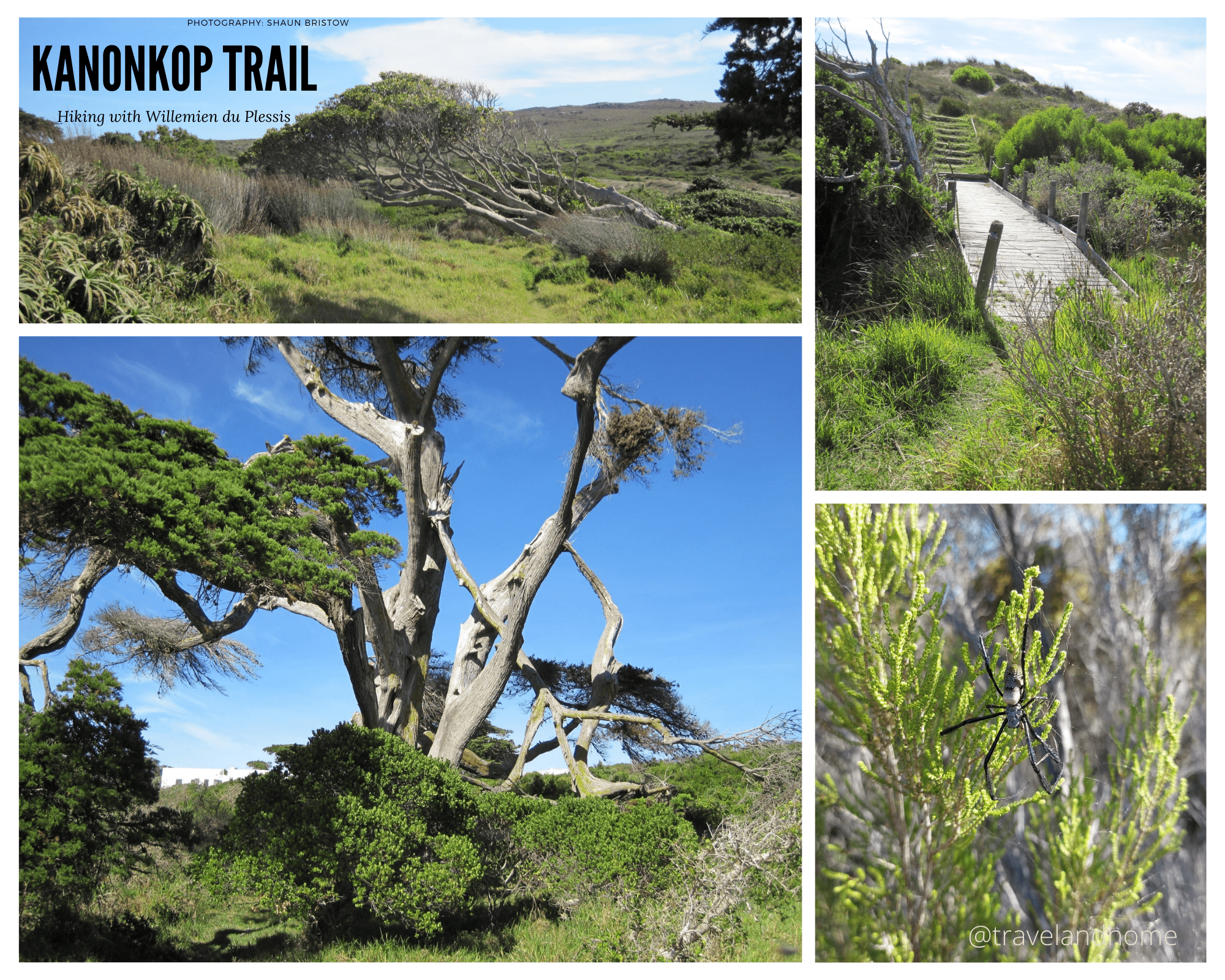 Kanonkop Trail hiking in and around Cape Town Western Cape South Africa nature wildlife min