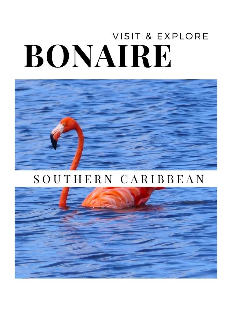 Visit Bonaire in the Southern Caribbean Netherlands