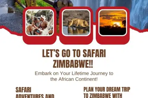 Explore Zimbabwe, A Journey Through Nature and Culture