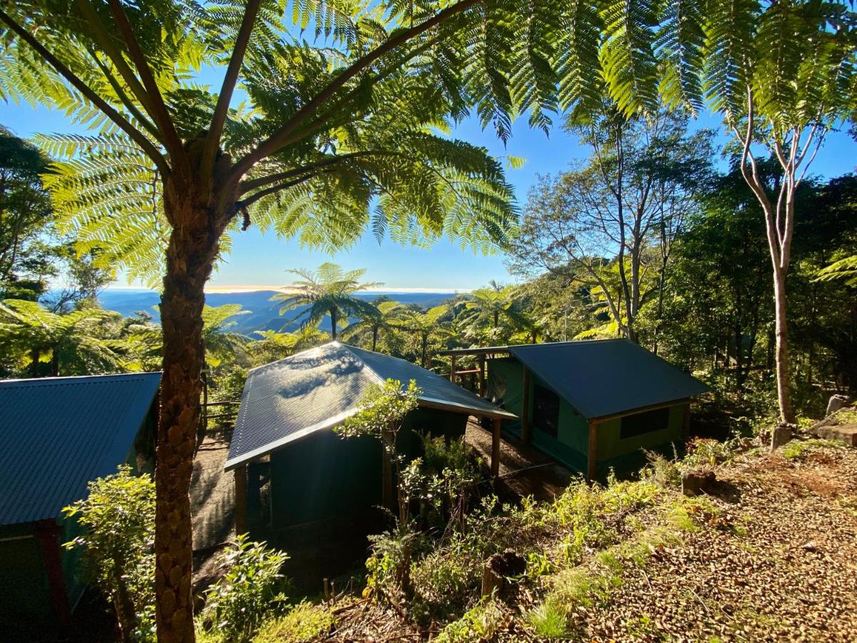 Fabulous nature camping sites Rain Forest stay