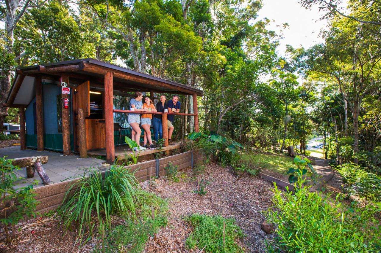 Fabulous nature stay in a rainforest setting