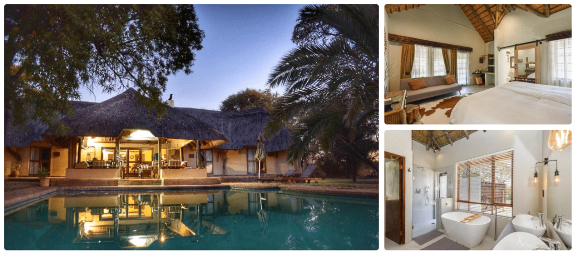 Book and Stay at Mziki Safari Lodge, bird watching in the North West Province