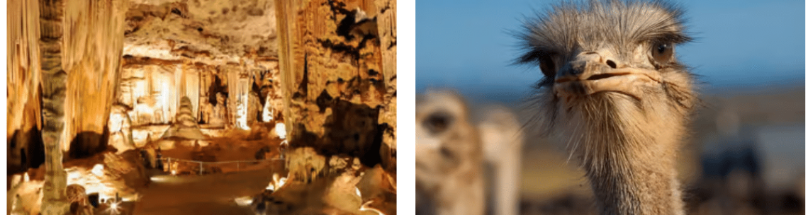 Cango Caves in Oudtshoorn, Travel Western Cape Province, South Africa, guided tour