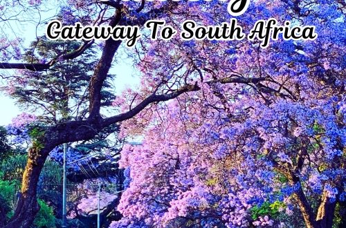 Gauteng Province, Gateway to South Africa min