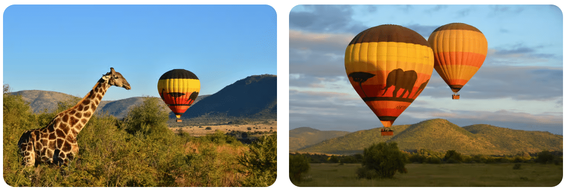 Pilanesberg National ParkSun City Hot Air Balloon Safari, North West Province Things To Do