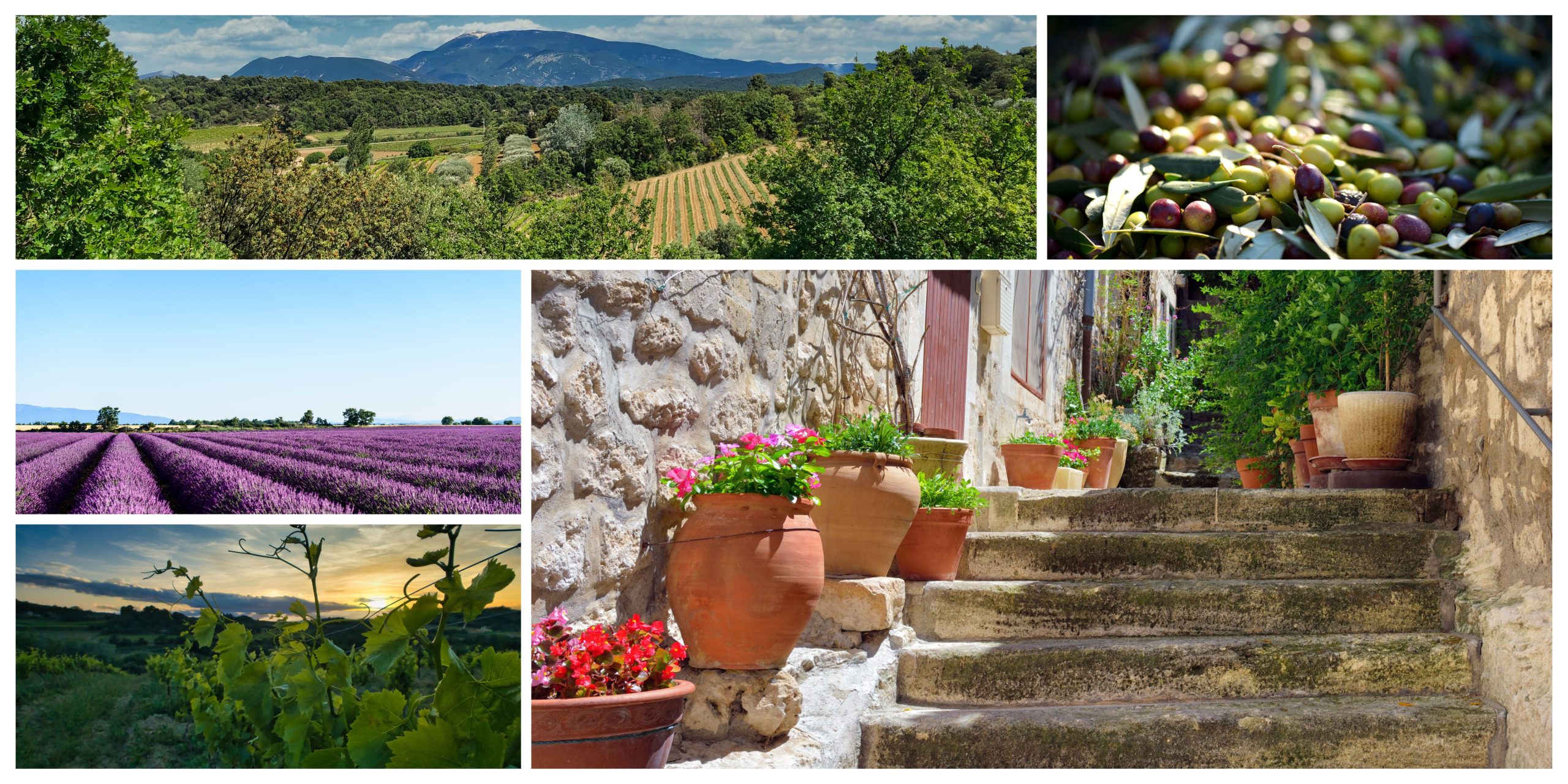 Beautiful travel destinations in France Provence Travel and Home