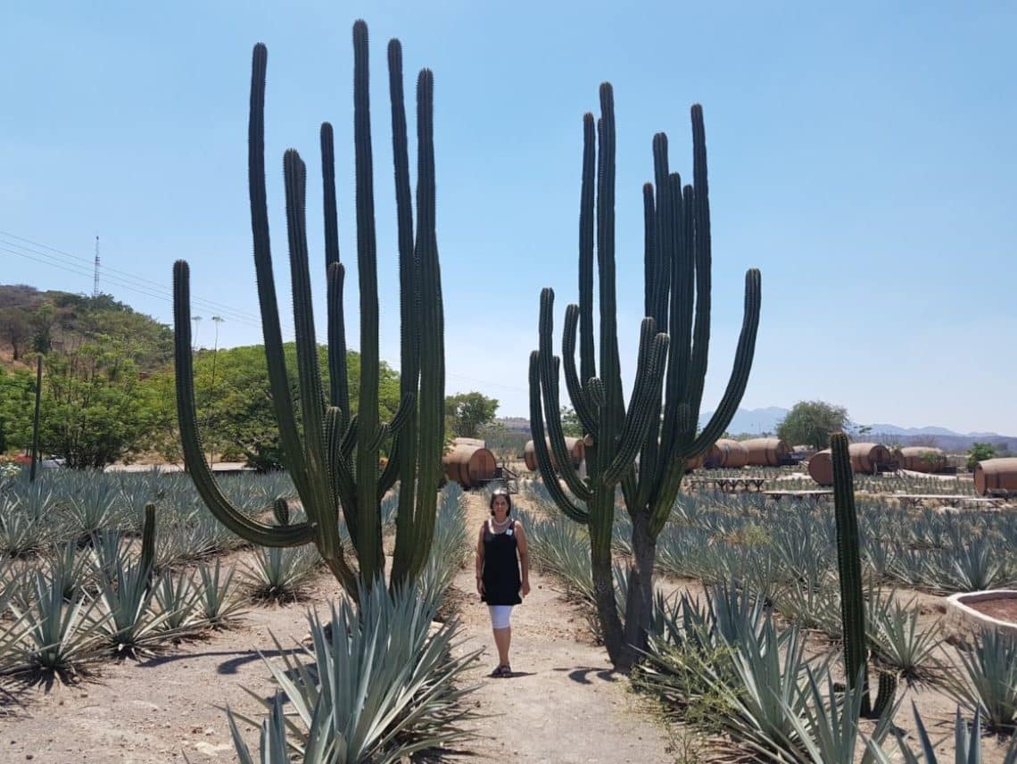 Matices Hotel de Barricas unique experience hotel rooms are tequila barrels travelandhome Mexico hotel review