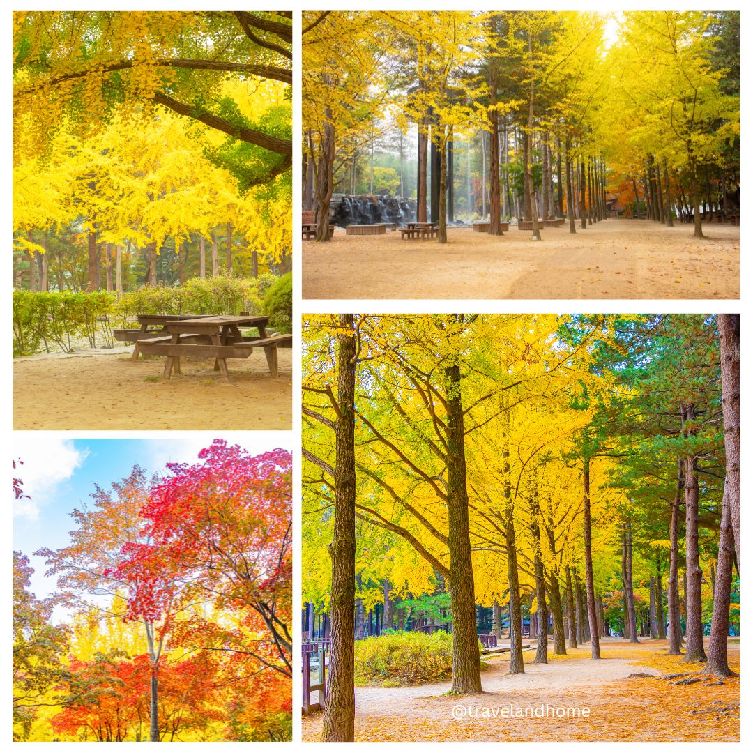 Most beautiful autumn travel destination in the world