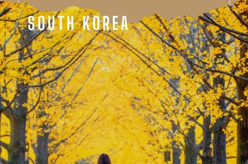Nami Island visit the most beautiful fall destination in the world