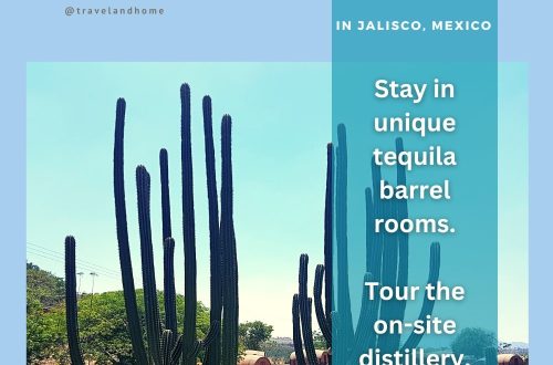 unique places to stay in the world Tequila jalisco mexico travelandhome min