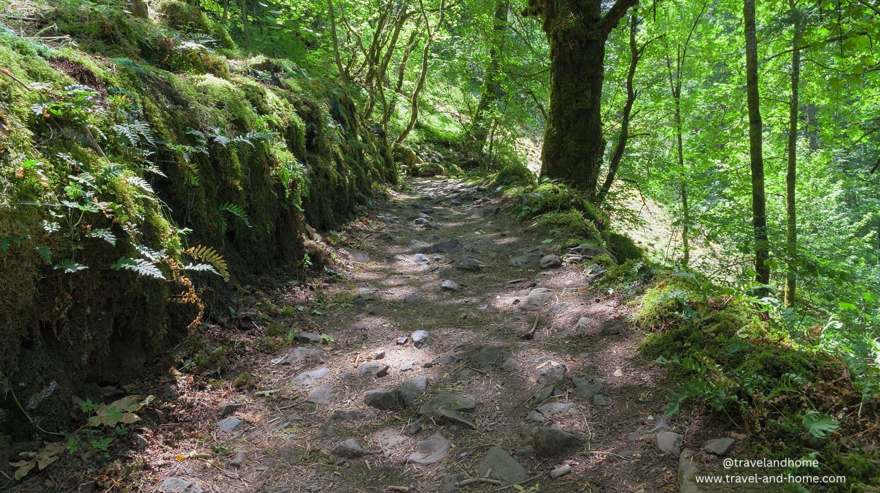Hiking trail from Jon B Yeon trailhead to Elowah Falls, Columbia River Gorge, Oregon, USA min