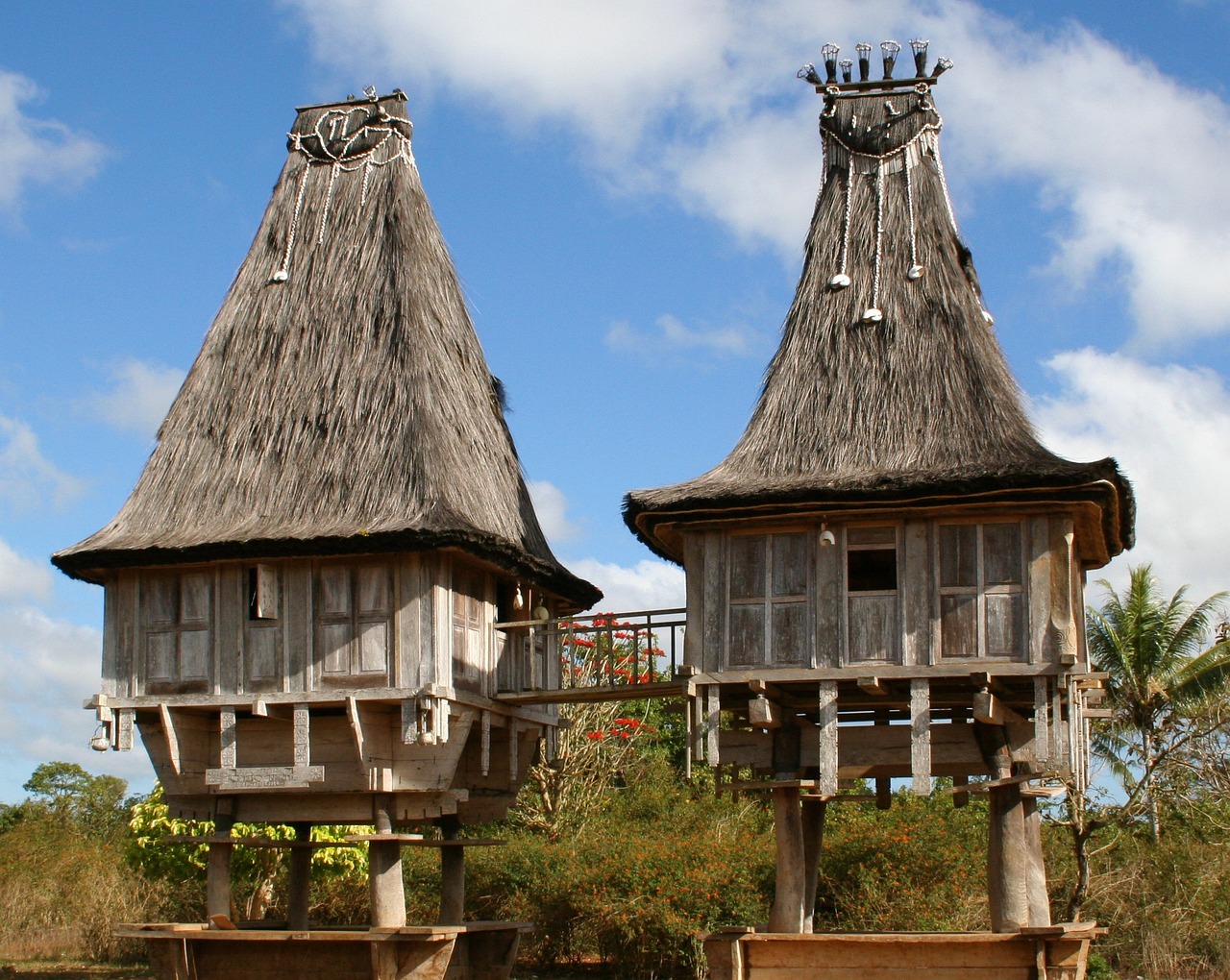timor leste, independent country, architecture, unique houses built on stilts