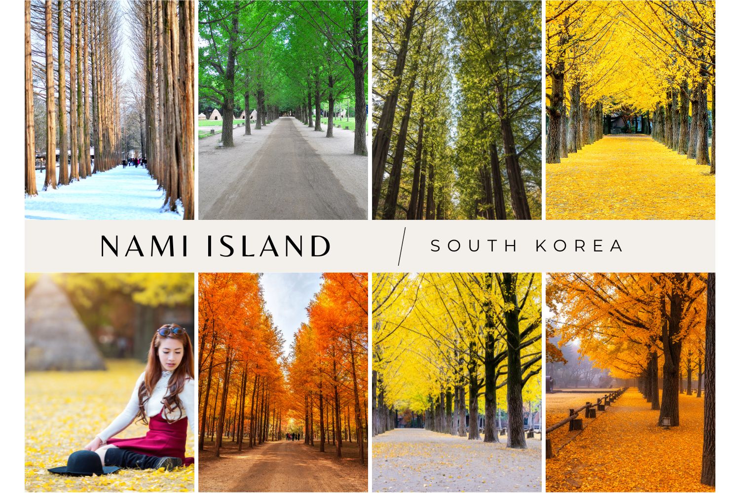 Nami Island ultimate guide best things to do what you must see how many time do you need how to get there travel tips is it realy worth a visit