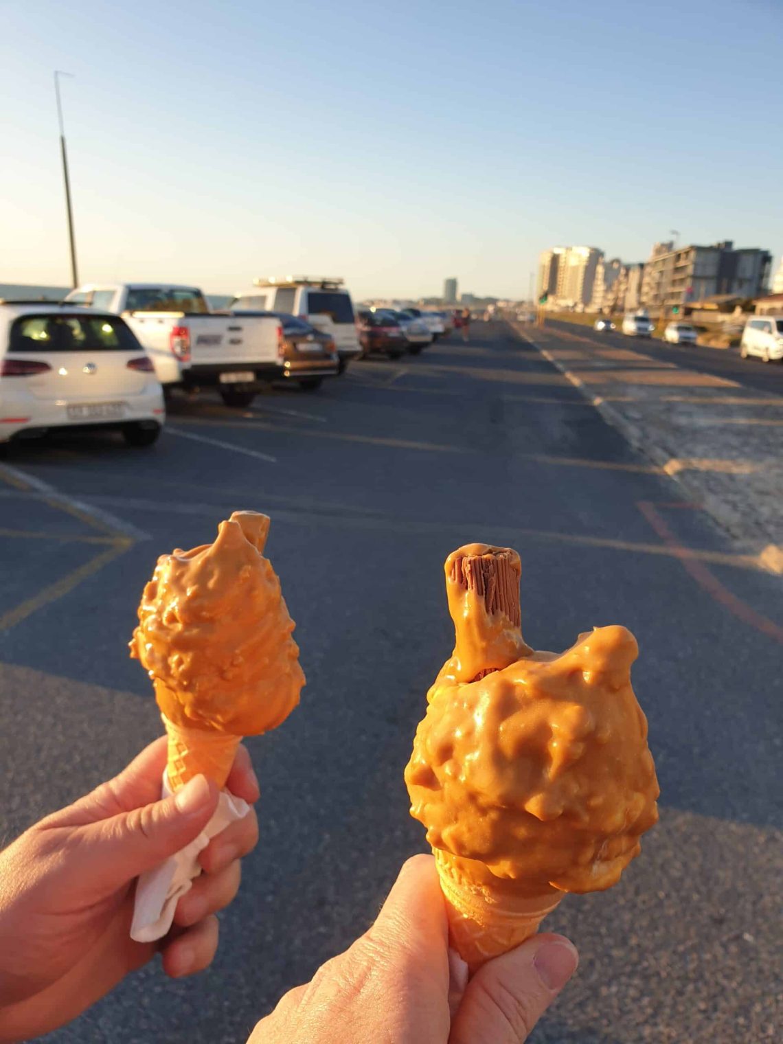 Draairoomys in Bloubergstrand