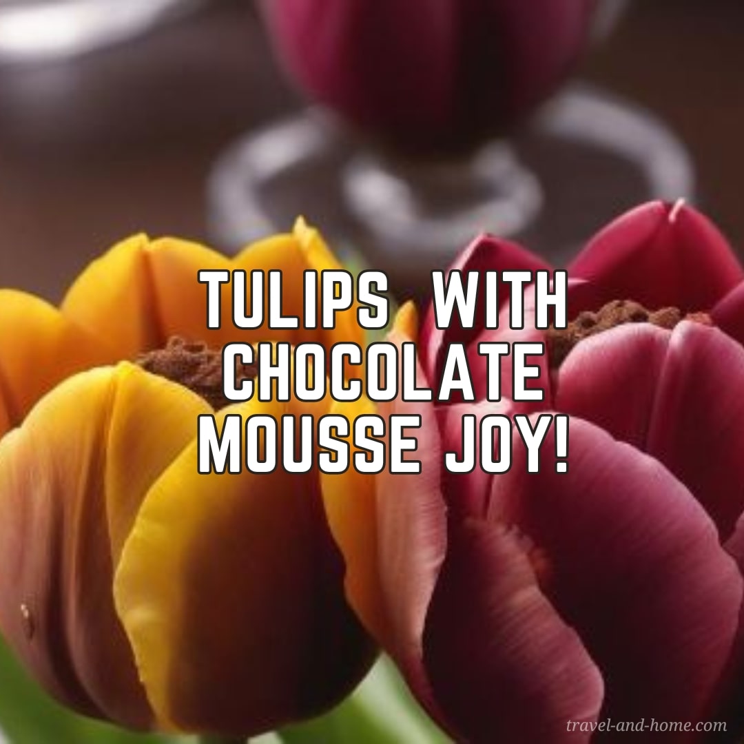 COLORFUL TULIPS FILLED WITH CHOCOLATE MOUSSE recipe, how to, edible flowers, ideas, travelandhome min
