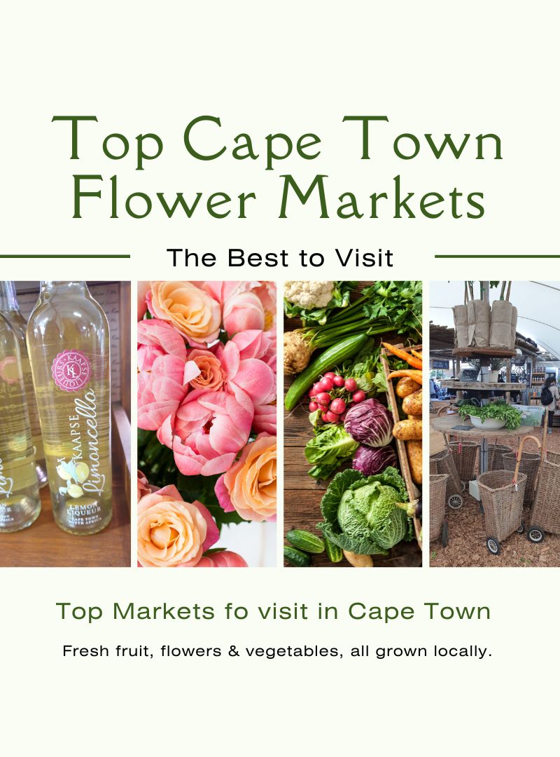 The best top flower markets to visit in Cape Town South Africa what to do things to do places to visit nearby attractions today at the market visit now