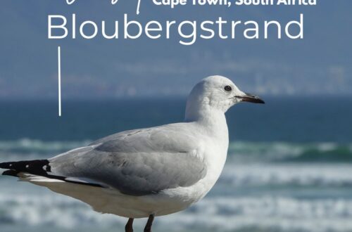 Visit Bloubergstrand, where to stay, what to do, where to eat, best sunset spots, beach activities, when to go all you need to know travel and home Let's go